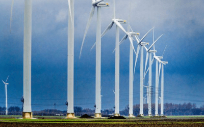 Windenergie, alles behalve groen?