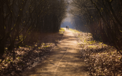 Walk & Talk