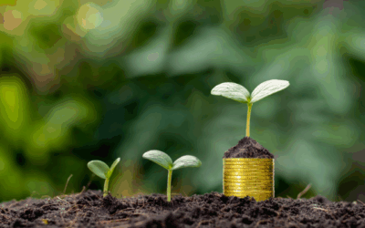 7 redenen waarom een boekhouder meer oplevert dan hij kost