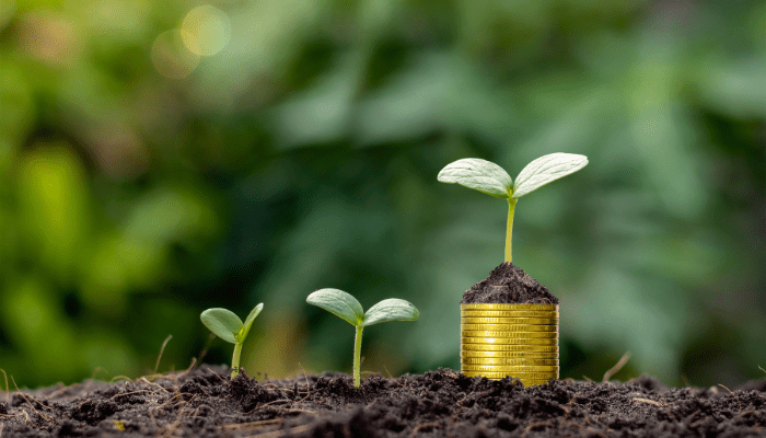 7 redenen waarom een boekhouder meer oplevert dan hij kost